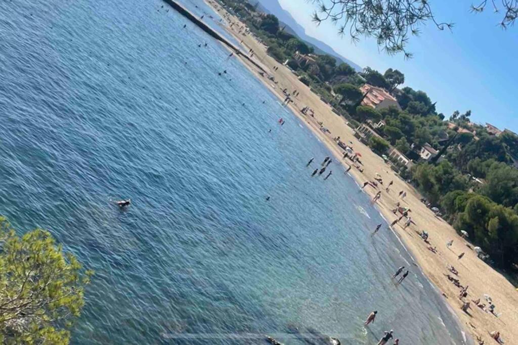 Studio Cosy Residence Odalys 3 Etoiles La Londe-les-Maures ภายนอก รูปภาพ